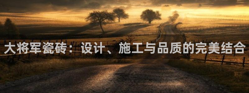 必一运动 b 体育素描版