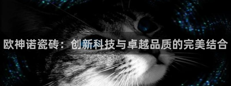 必一体育秀给网