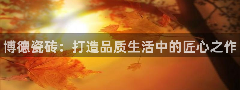 必一体育bsport下载