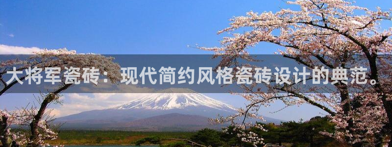 必一运动 b 体育素描版