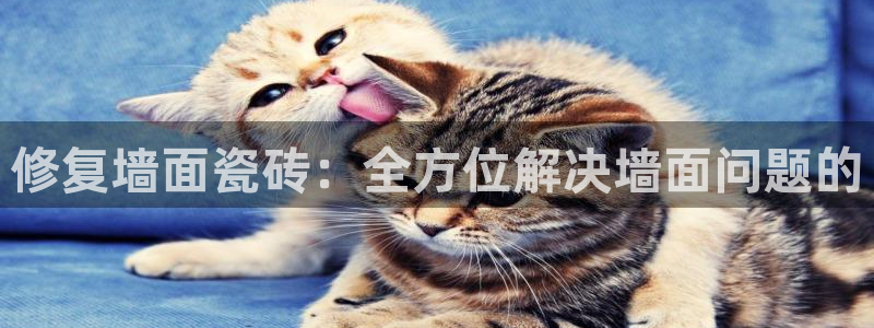 必一体育官方下载入口