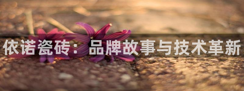 必一运动bsport体育app下载