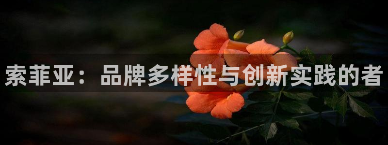 必一体育app下载