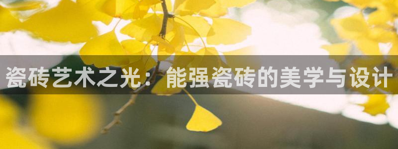 必一体育官方网站入口