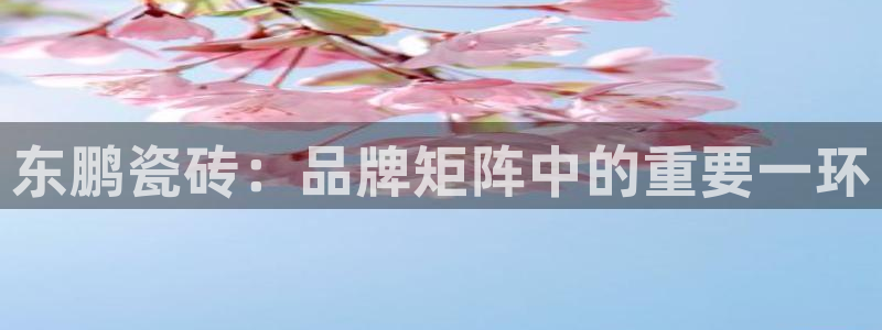 必一运动官网装机吧