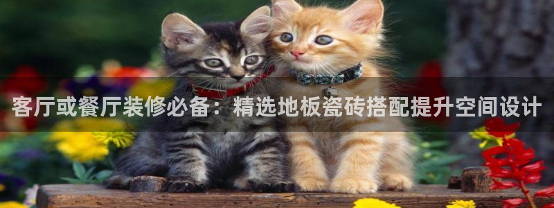 必一体育服下载最新版本更新内容