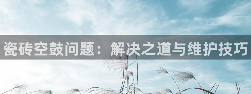 必一体育是哪里的台子