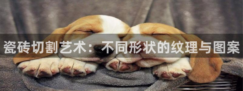 必一体育运动app