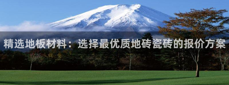 必一运动 b 体育素描版