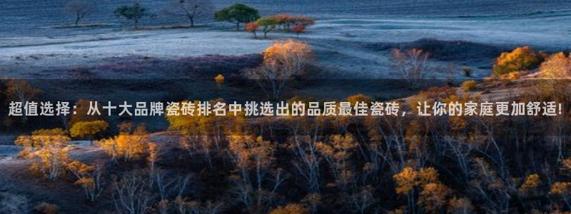 必一体育sport网页版