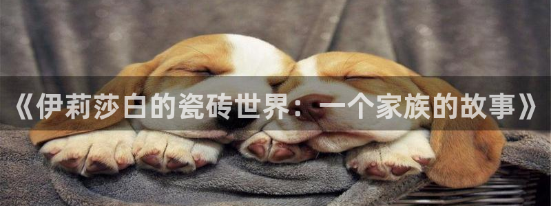 必一体育官方网站入口