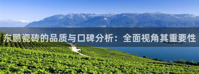 必一体育登录入口