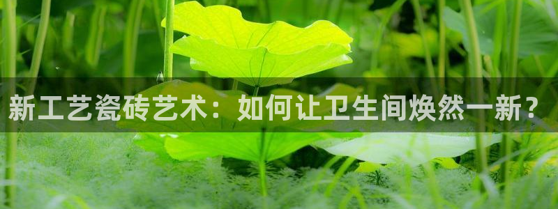 必一体育app下载安装