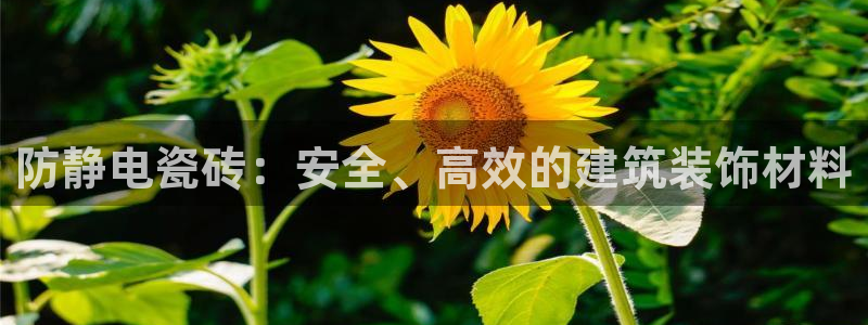 必一体育sport装机吧