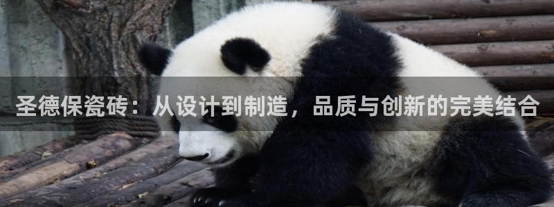 必一体育下载登入