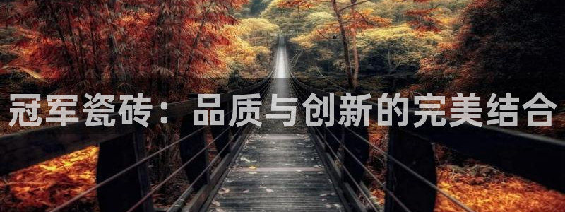 必一体育游戏特色