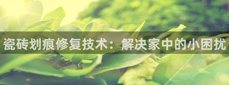 必一体育在哪下