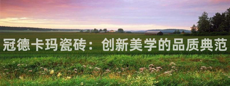 必一体育是啥