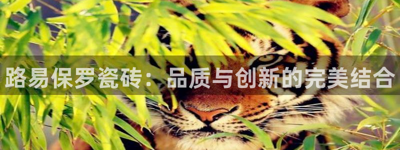 b体育官网下载入口app必一