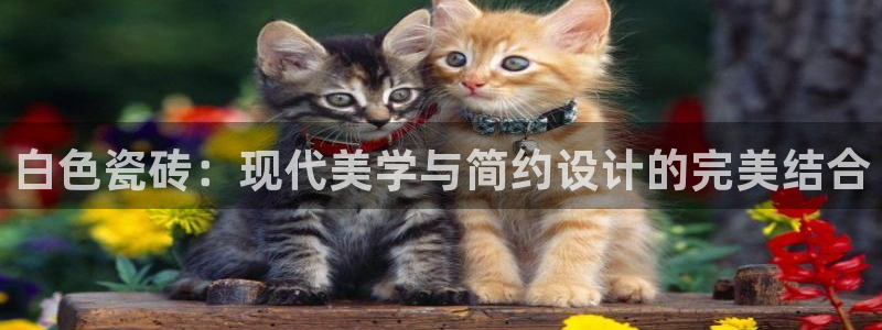 b体育必一运动网页版在线登录入口