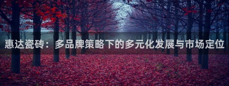 必一体育运动官网
