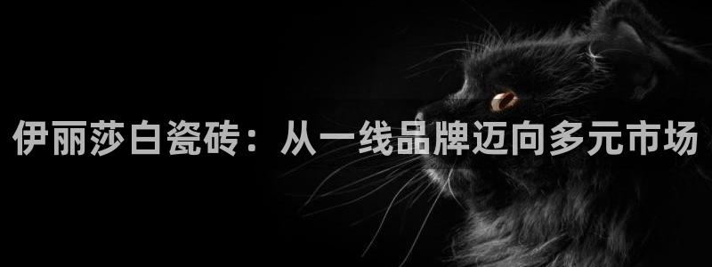 必一体育是啥