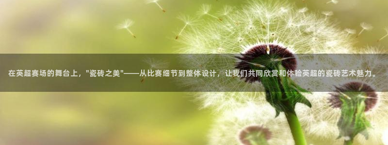 必一体育APP
