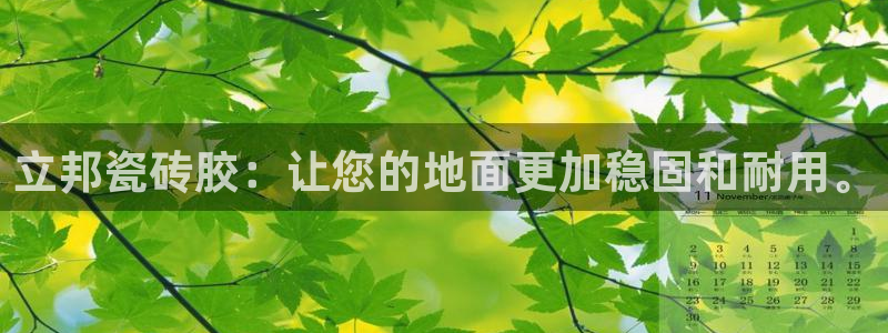 必一体育app官方下载入口