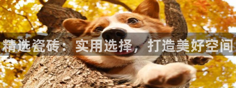 必一运动短信