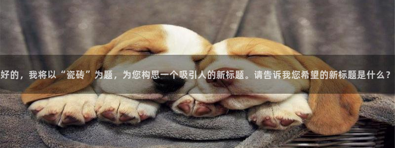 必一体育服下载最新版本更新内容