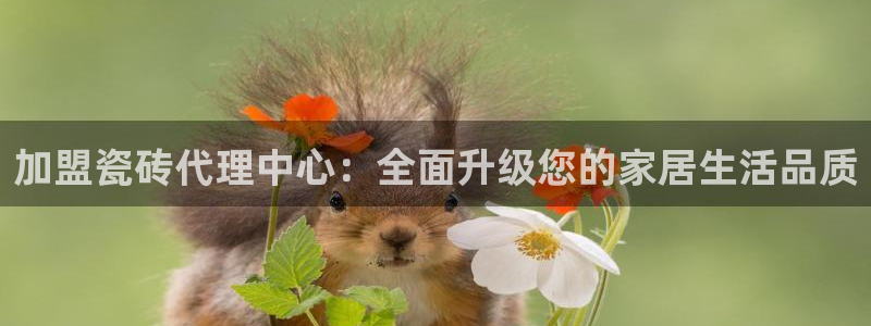 必一体育皮尔斯