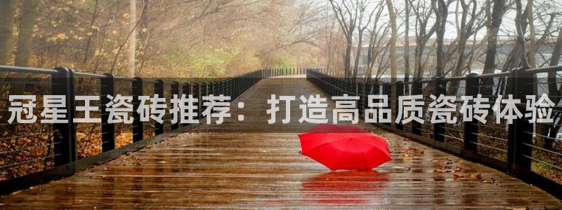 必一体育周公