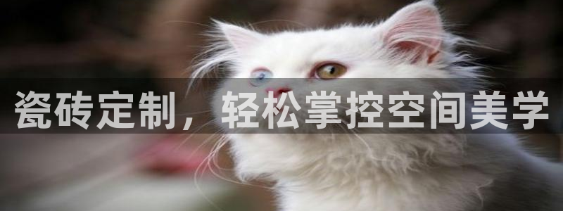 必一体育流水线是什么意思