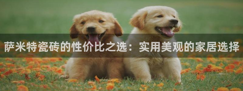 b体育必一下载