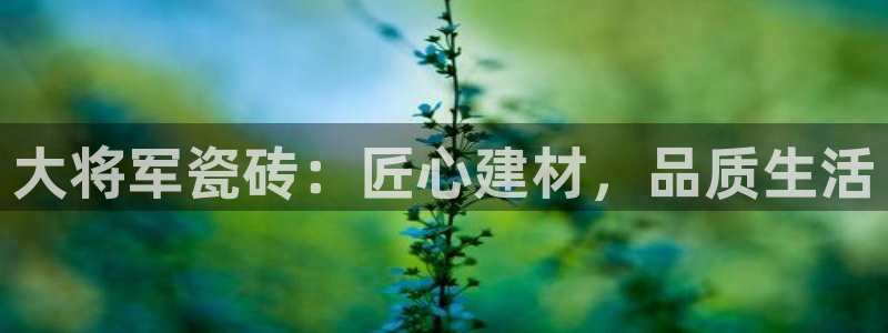 必一体育皮尔斯