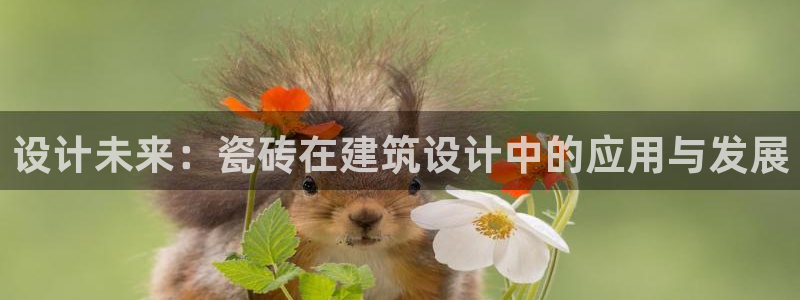 必一体育怎么下载