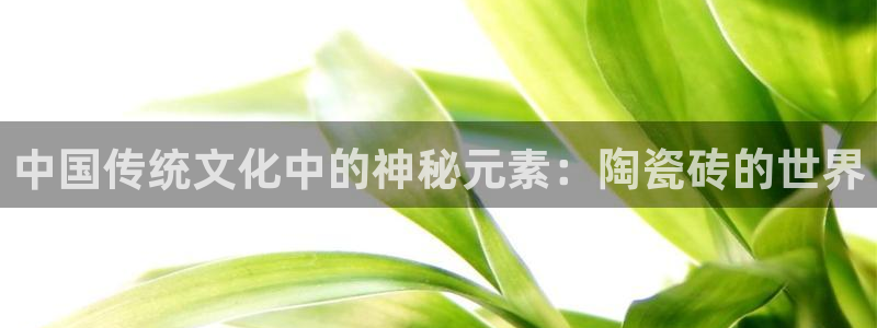 必一运动 b 体育素描版