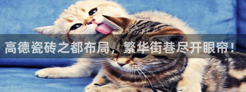 必一体育游戏玩法