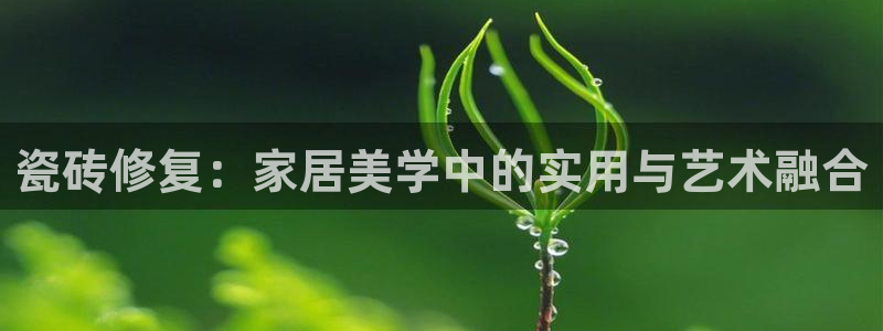 必一体育在线入口