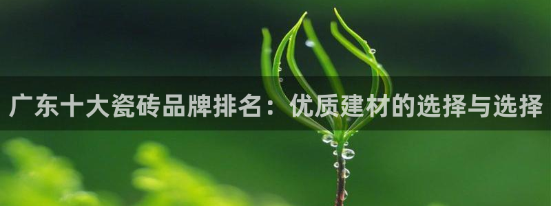 必一体育bsport2023-04-21