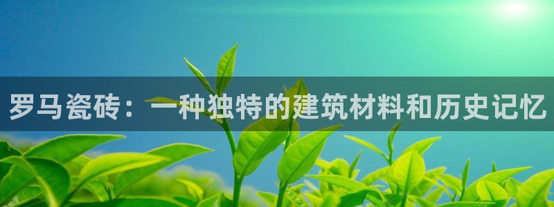 必一体育秀给网