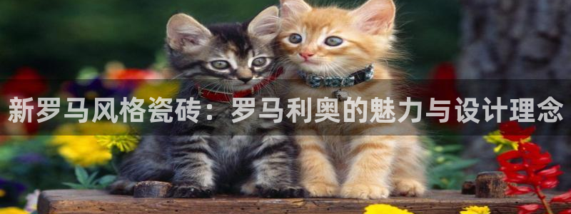 b体育必一运动网页版在线登录入口