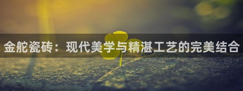 必一体育周公
