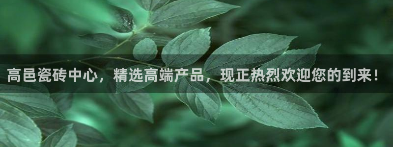 必一体育sport