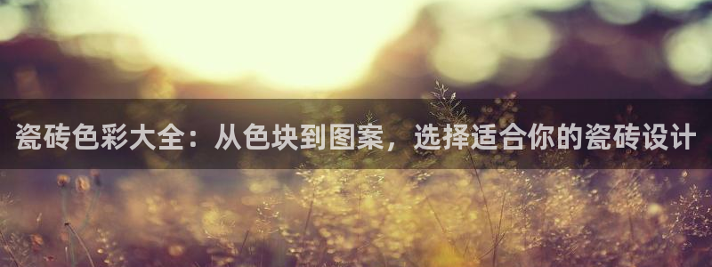 必一体育bsport下载