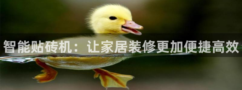 必一体育登陆